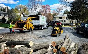 Best Hedge Trimming  in Bedford, VA