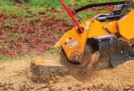 Best Lawn Watering Services  in Bedford, VA