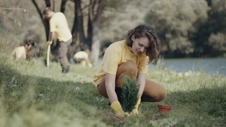 Best Organic Lawn Care Solutions  in Bedford, VA