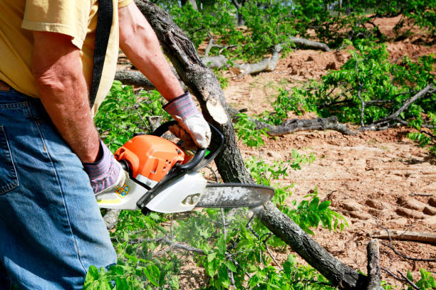 Best Lawn Drainage Solutions  in Bedford, VA